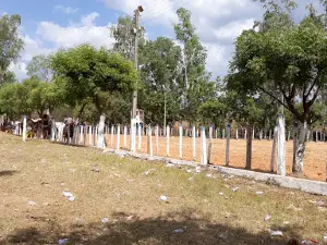 Parque de Vaquejada Mariano Costa