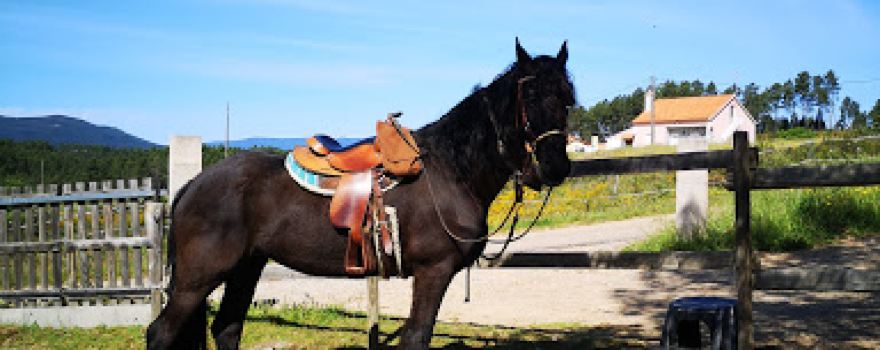 Portugal Adventures