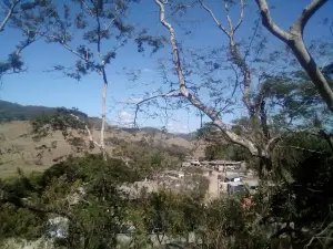 Gesteira