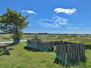 't Roegwold
