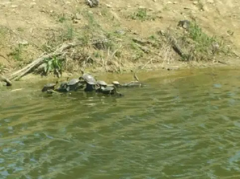 フレミングスバーグ・シティ・パーク