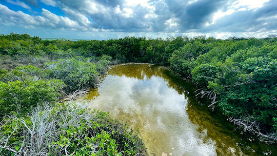 Ecoparque Bacalar