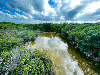 Ecoparque Bacalar