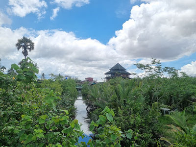Green Cathedral