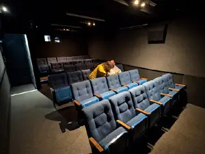 The Regent Cinema