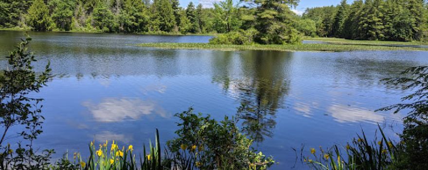 Rutland Brook Wildlife Sanctuary