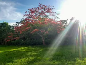Paz Park