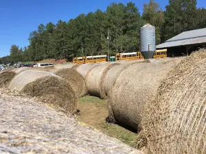 Bennett Farms