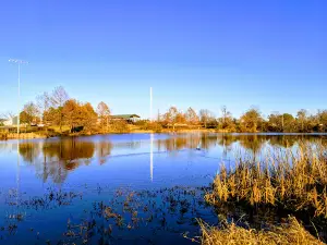 Schuman Park