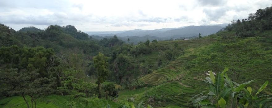 Lapangan Desa Bandar