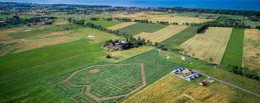 Kosmiczny Labirynt Mielno. UFO ląduje w polu kukurydzy w Niegoszczy