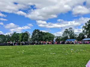 Veterans Park