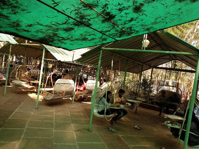 Picnic Point