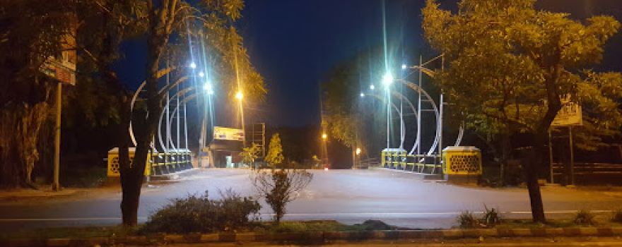 타만 데모크라시