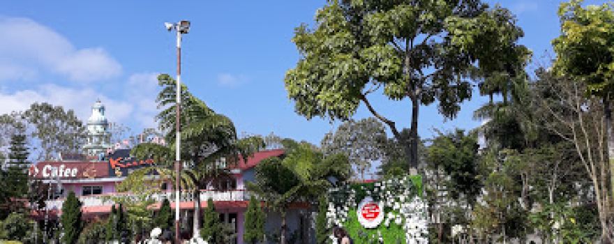 Sân Bóng Nhân Tạo Phương Thanh