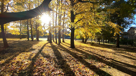 Kajino Park