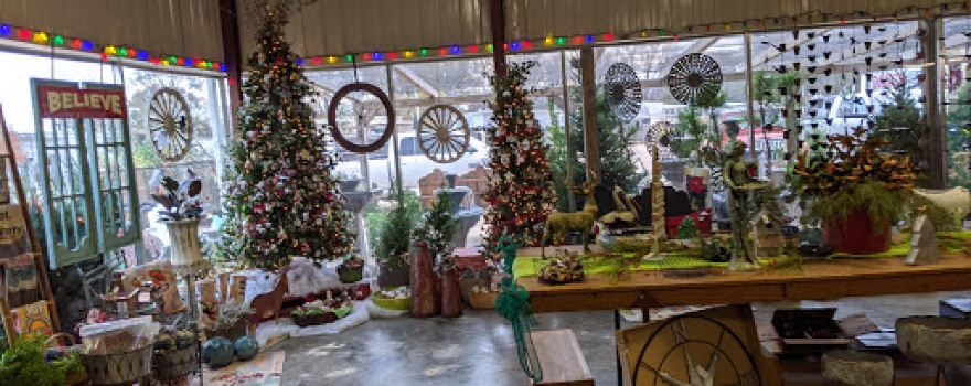 Davis Feed & Farm Supply