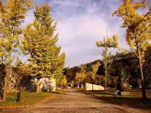 Saseondae Tourist Site