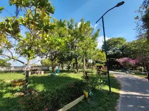 Parque da Cidade