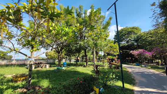 Parque da Cidade