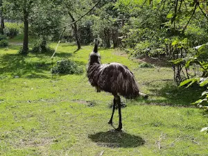 Rancho Kupała