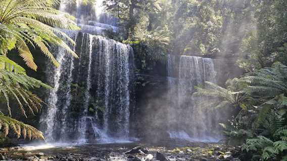 Mount Field Visitor Centre