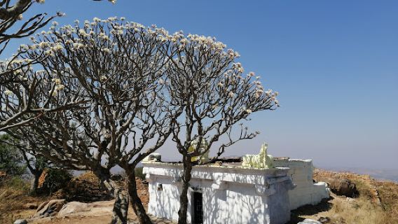 Makali Durga Betta