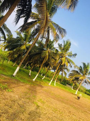 Accra to Takoradi flight