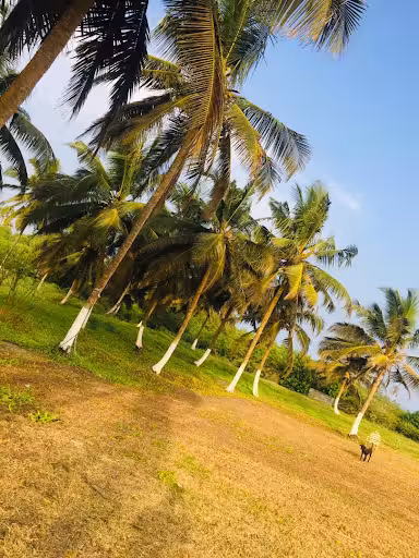 Tiket flight ${{cityDName}} ke Takoradi