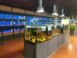 Jardiland