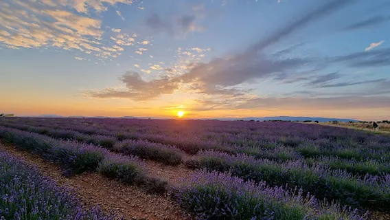 Aire de camping car Valensole