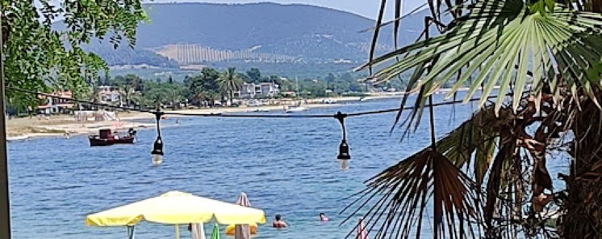 Paralia Mikiverna