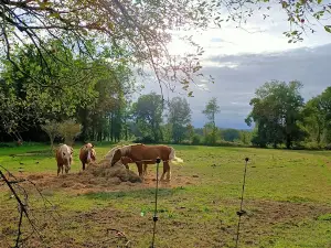 Ferme de bois-meur