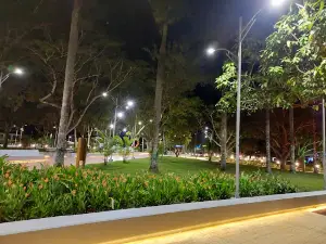 Central Park