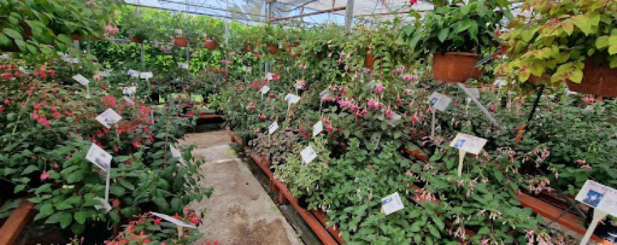 St Margarets Nurseries