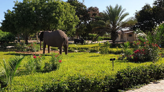 Chinangali Innovation & Recreational Park