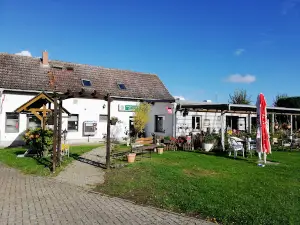 Campingplatz Arendsee “Im grünen Elsebusch“
