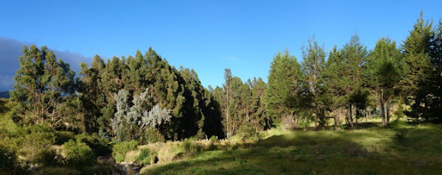 Ingueza