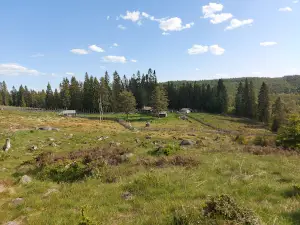 Ransbysätern