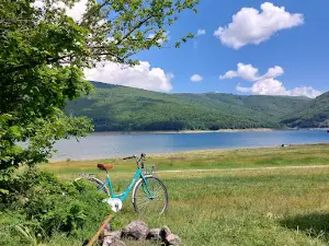 Free Camp