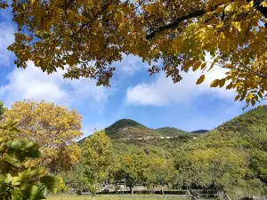 Llanos de Planduviar Park