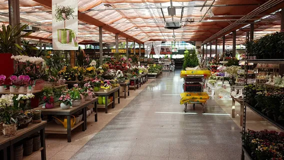 bellaflora Schwechat