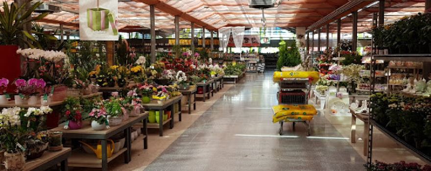 bellaflora Schwechat