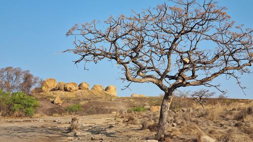 Grave of Cecil John Rhodes