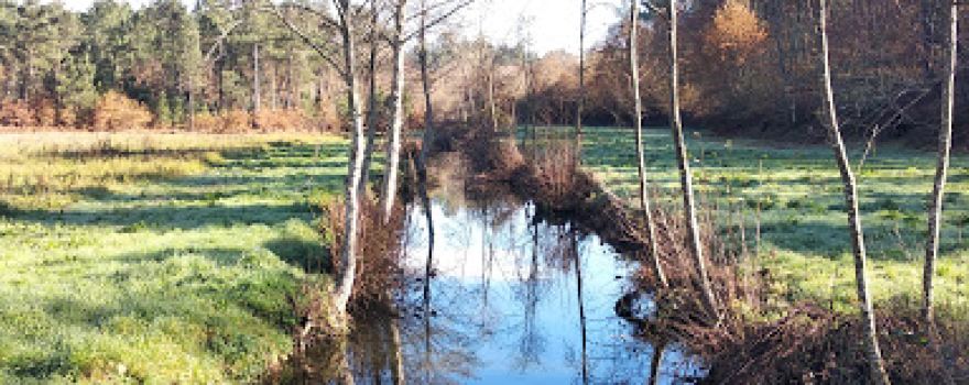Rio Varoso