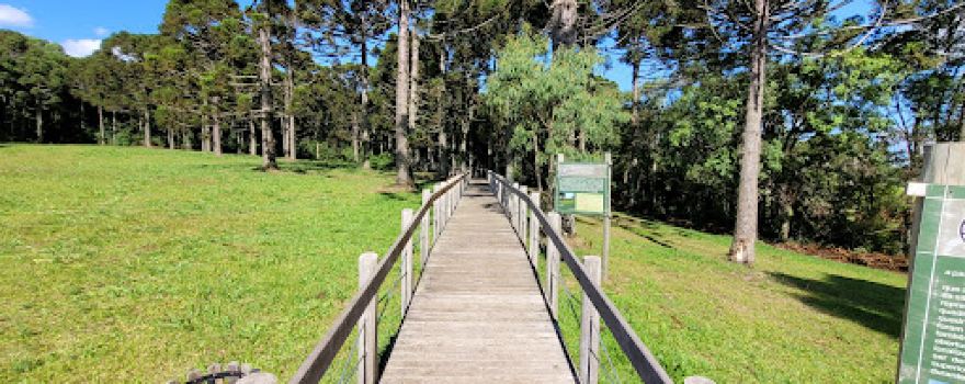 Parque Arqueológico