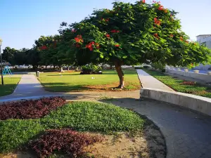 New Salalah Park