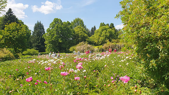Sichtungsgarten