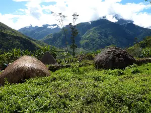 Baliem River