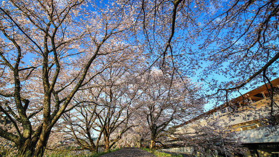 Aspal, Mitoya Cultural and Gymnasium, Unnan City